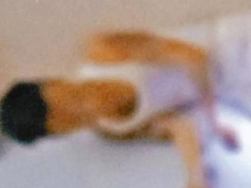 日本高中生遭賣豬仔，緬甸詐騙園區