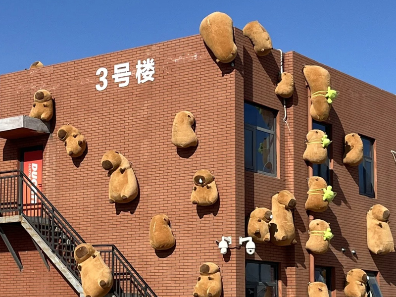 A whole wall of capybaras