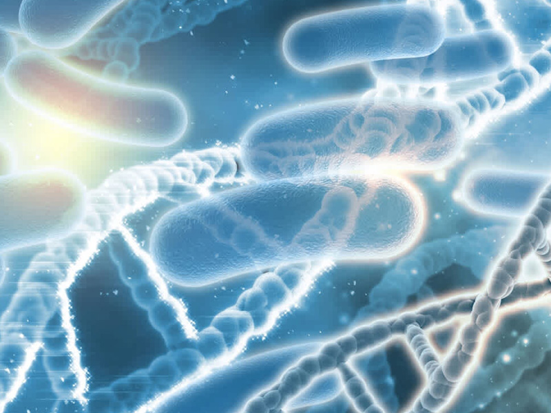 身體有炎症吃益生菌有用嗎? 身體有炎症吃益生菌有用嗎?