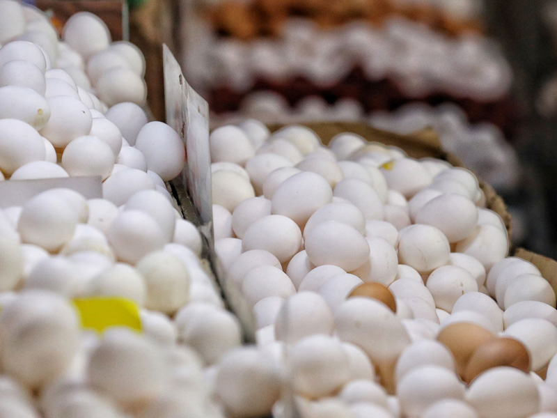 法國雞蛋市場緊張：年產 150 億顆仍短缺