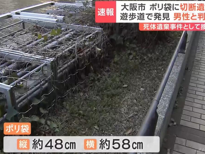 日本大阪恐怖碎屍案