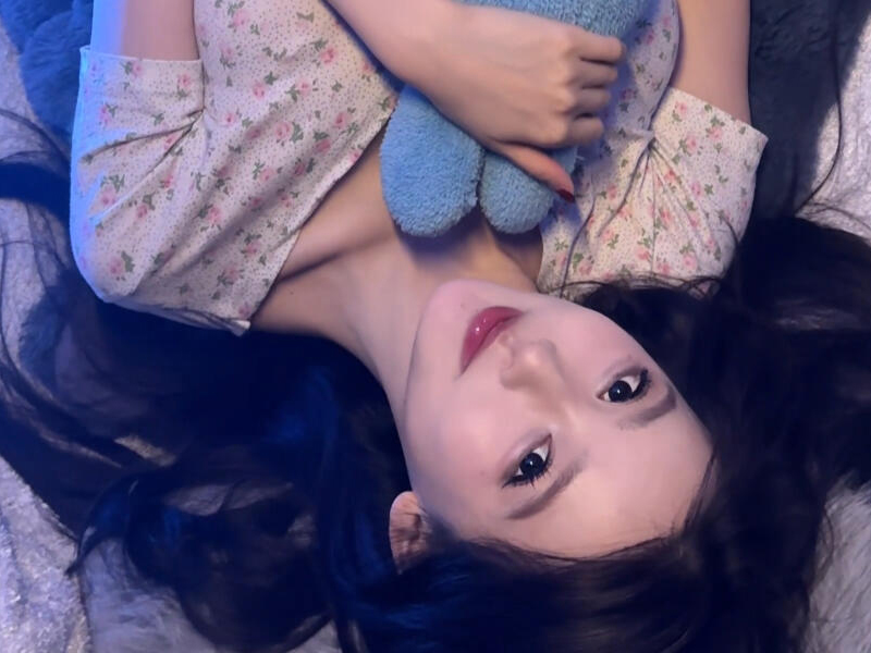 家は私の安全な避難場所です 家は私の安全な避難場所です