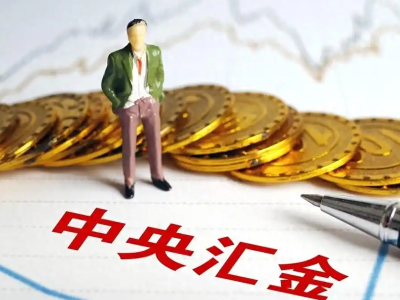 中央匯金出手穩市，到底買了什麼？