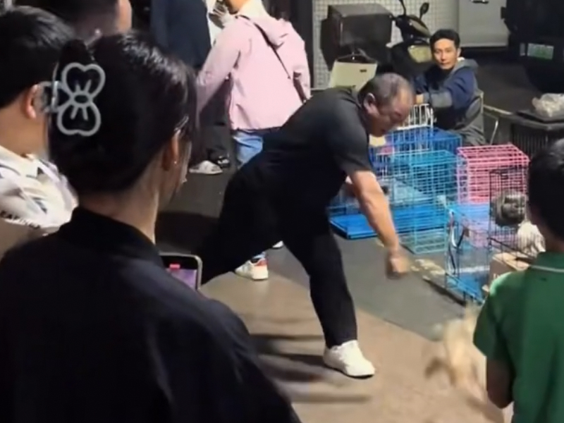 男子因退款糾紛，當眾摔死小狗