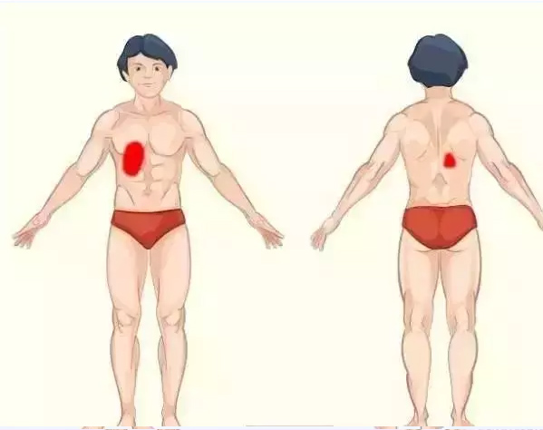 器官問題：身體疼痛對照表