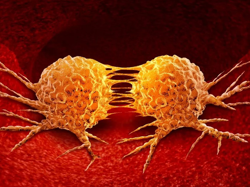 為什麼有些癌症，能夠不治而愈？