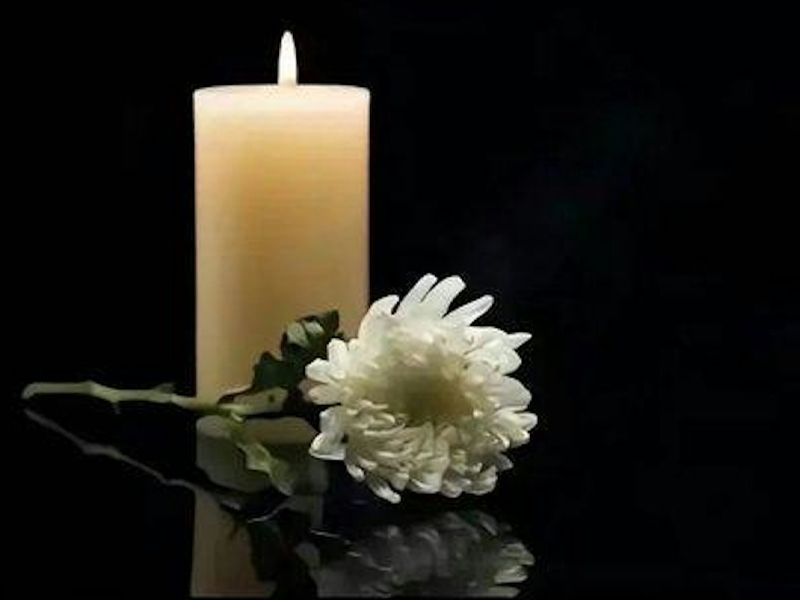 網紅小楊哥逝世，年僅 33 歲