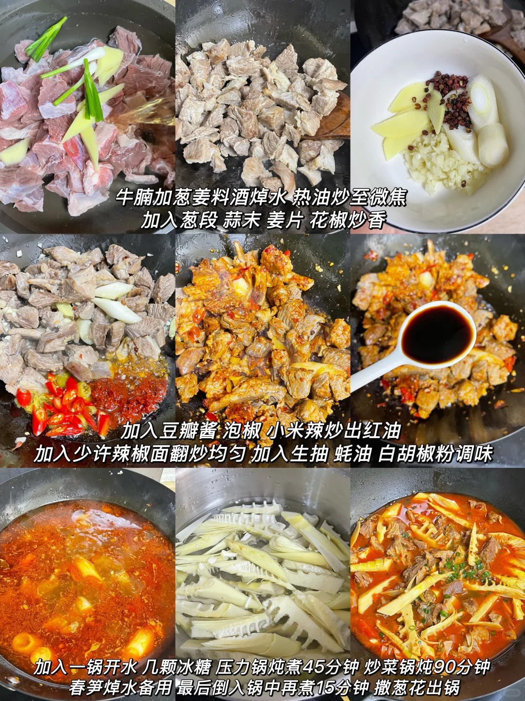 泡椒筍子燉牛腩