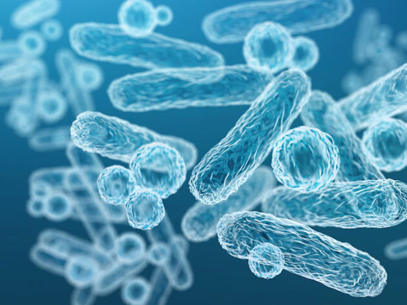 科學界震驚，益生菌增強病原體毒性