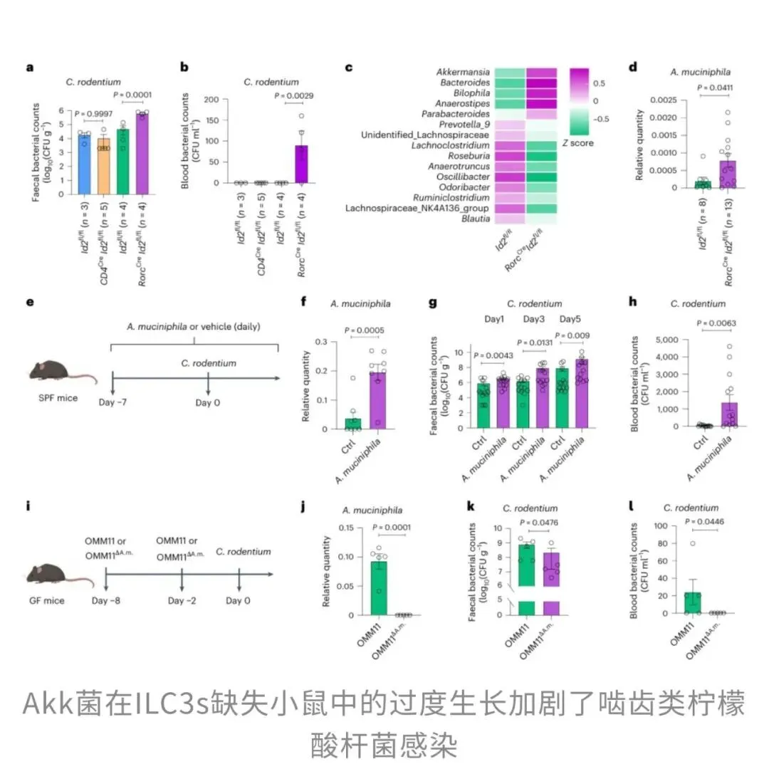 科學界震驚，益生菌增強病原體毒性