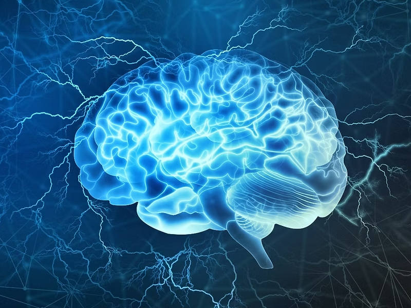 讓大腦保持年輕的 10 種方法