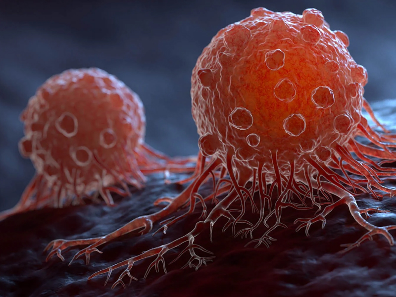 癌症最怕你這樣吃 食用這些食物降風險