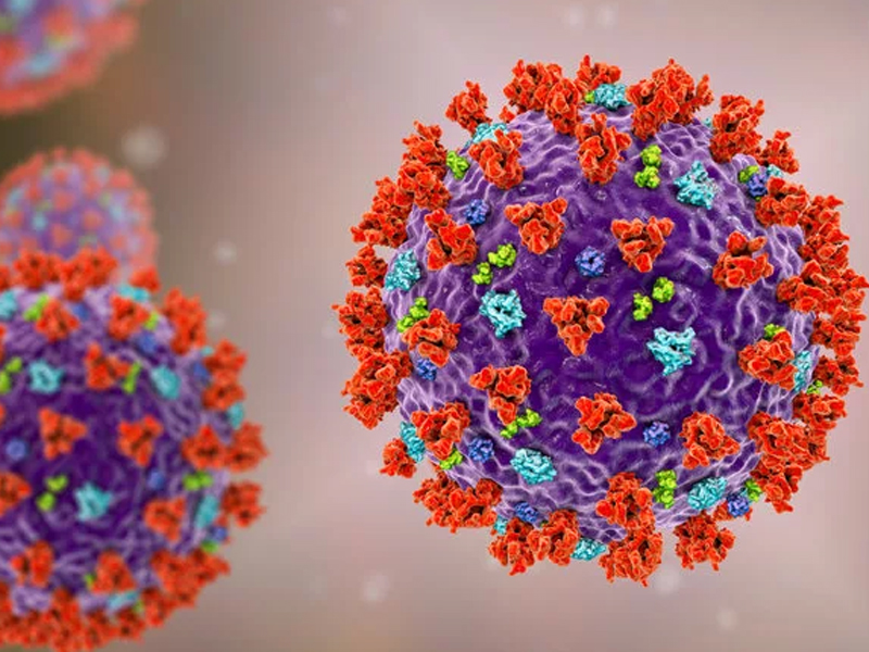 研究發現：新冠病毒激活免疫失控