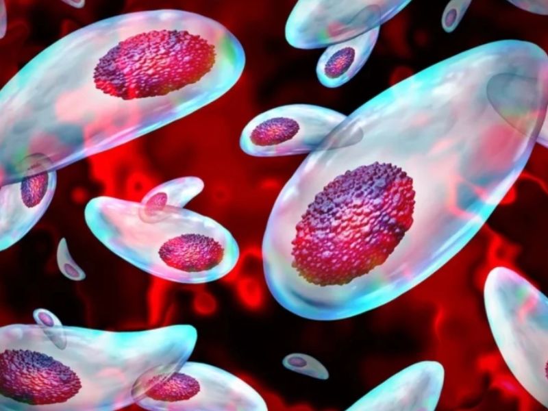 恐怖寄生蟲，專咬精子頭