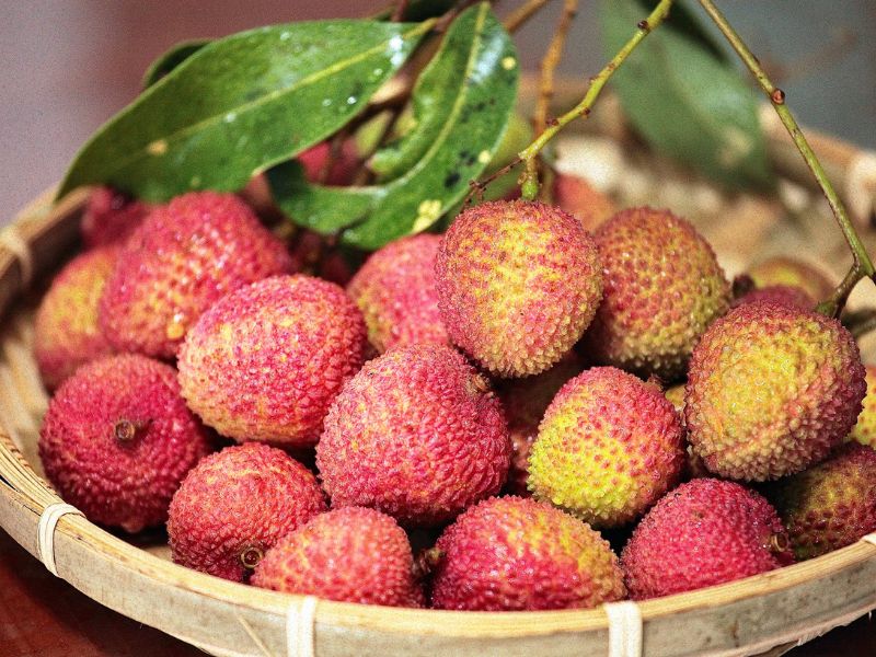 女童空腹食荔枝後被送進醫院