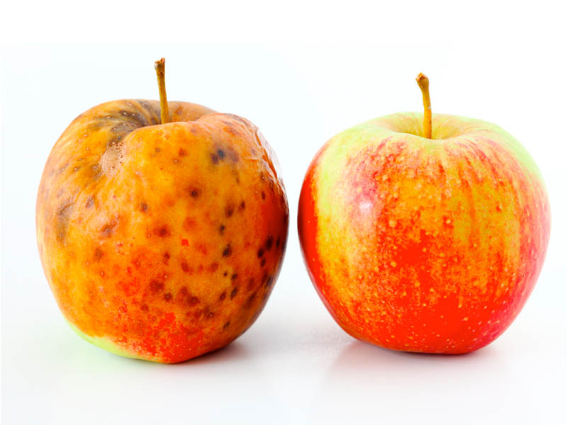 一個蘋果，看出你是富人還是窮人！