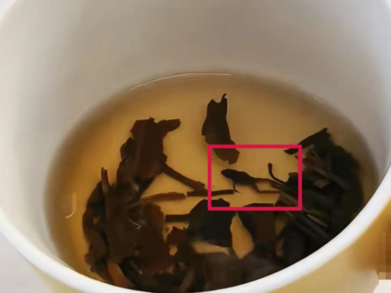 茉莉花茶發現青蛙 奈雪的茶回应