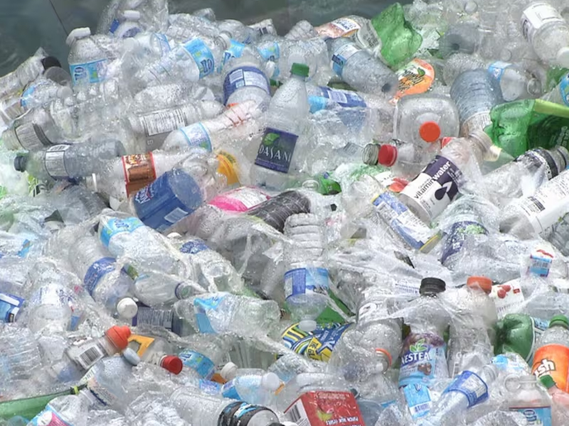 利用大腸桿菌,將塑膠廢料變成止痛藥 利用大腸桿菌,將塑膠廢料變成止痛藥