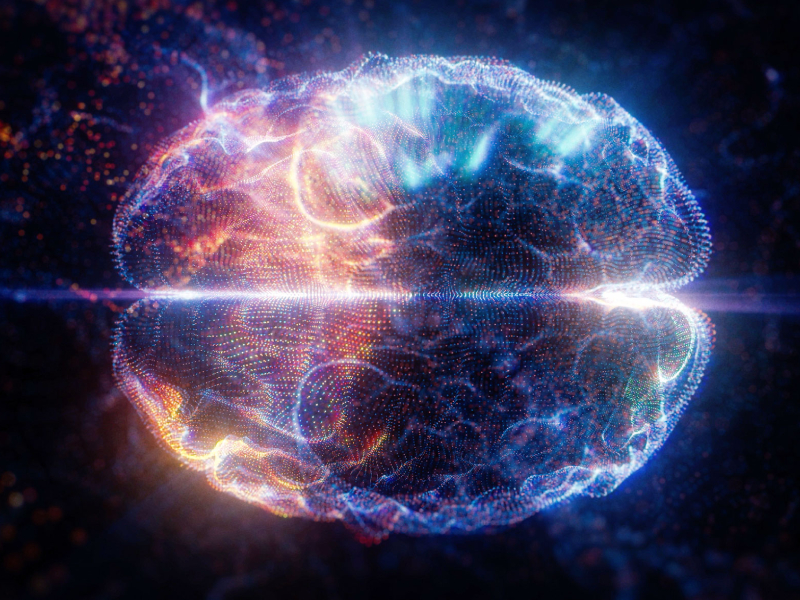 研究發現：人類大腦可以發光