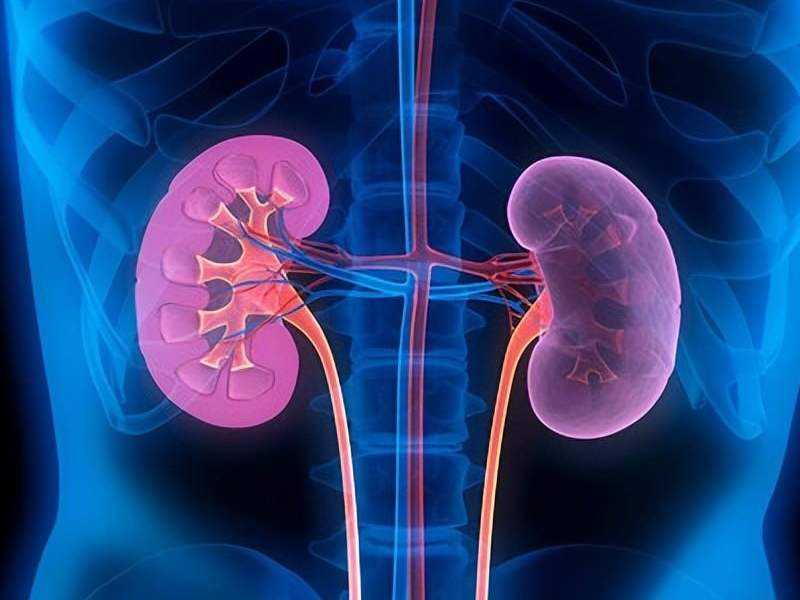 腎好不好?尿液就能看出來 腎好不好?尿液就能看出來