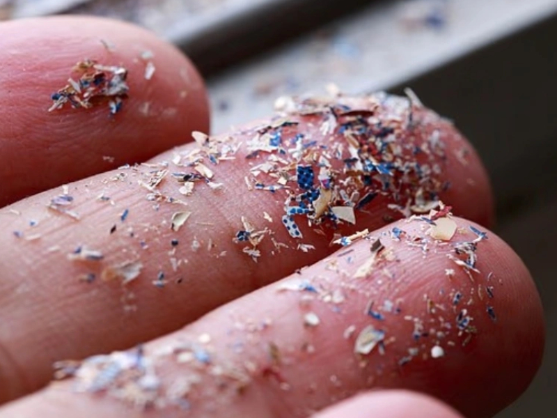 微塑料在精液卵液中的驚人發現 微塑料在精液卵液中的驚人發現