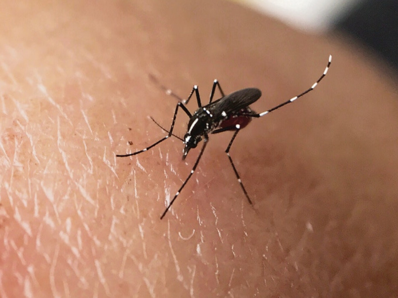 佛山確診 1199 例，澳門也出現首宗