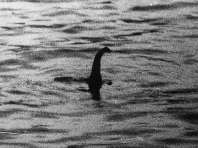 尼斯湖水怪 2025 年再次被拍到
