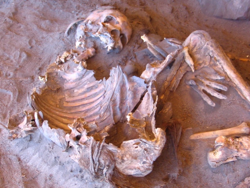 撒哈拉木乃伊，發現全新人類 DNA