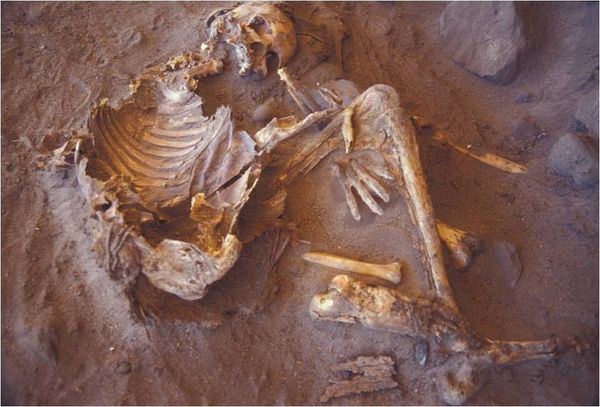 撒哈拉木乃伊，發現全新人類 DNA