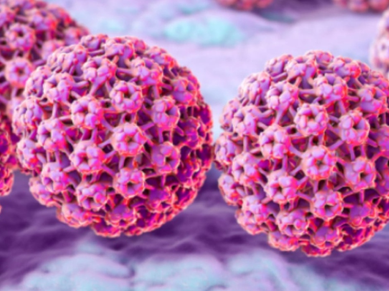 研究發現：1/3 男性已感染 HPV