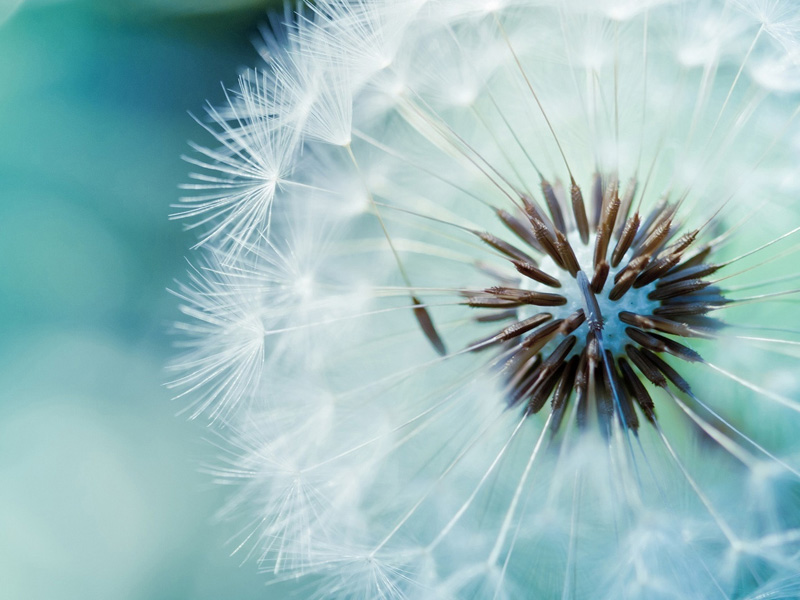 有個愛你的人不容易,你為何不去好好珍惜! 有個愛你的人不容易,你為何不去好好珍惜!