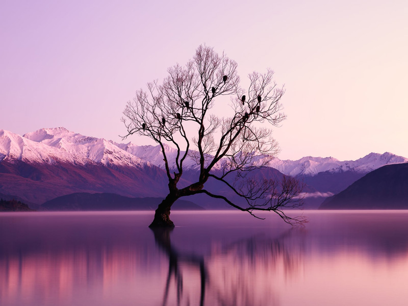 放過自己! 放過自己!