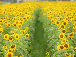 不能接受，那就改變，不能改變，那就離開。