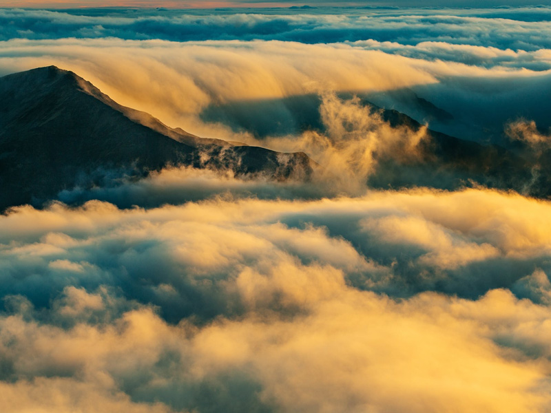 閒人愁多，懶人病多，忙人快活