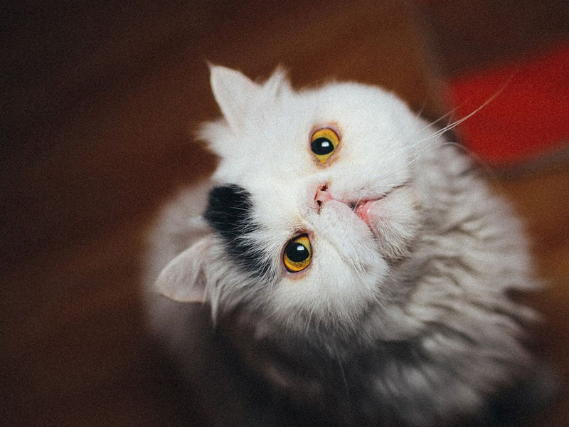 人生有三苦，熬過便是幸福