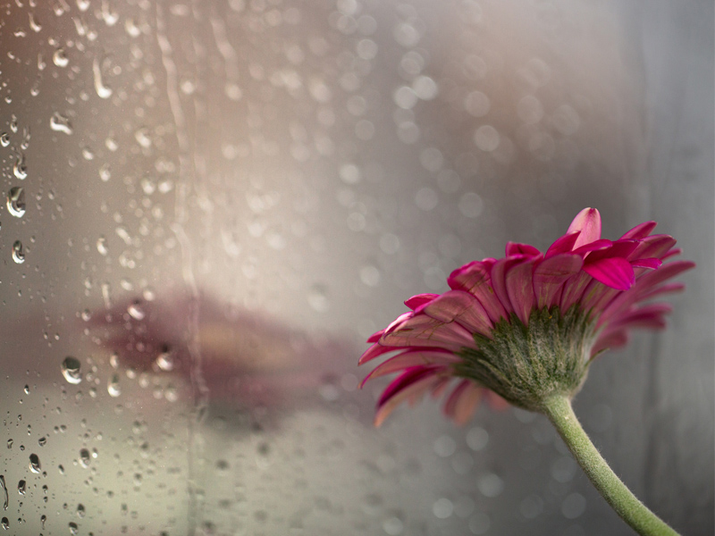 你的好，要對值得的人