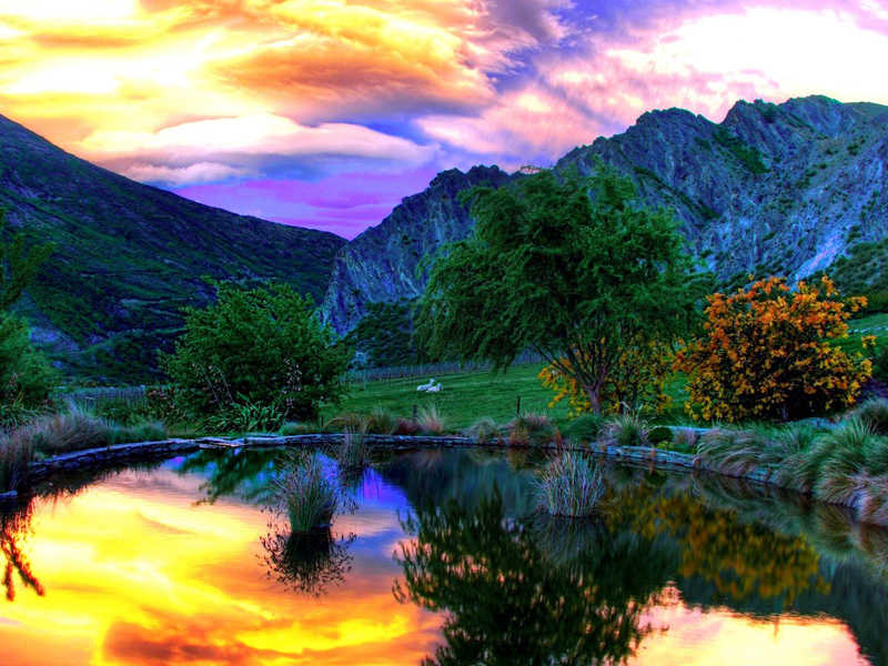 內心安好,世界便安好 內心安好,世界便安好