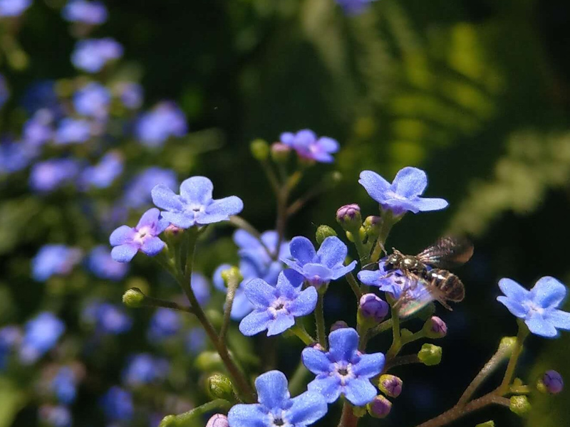 有棱角的善良，才是真善良