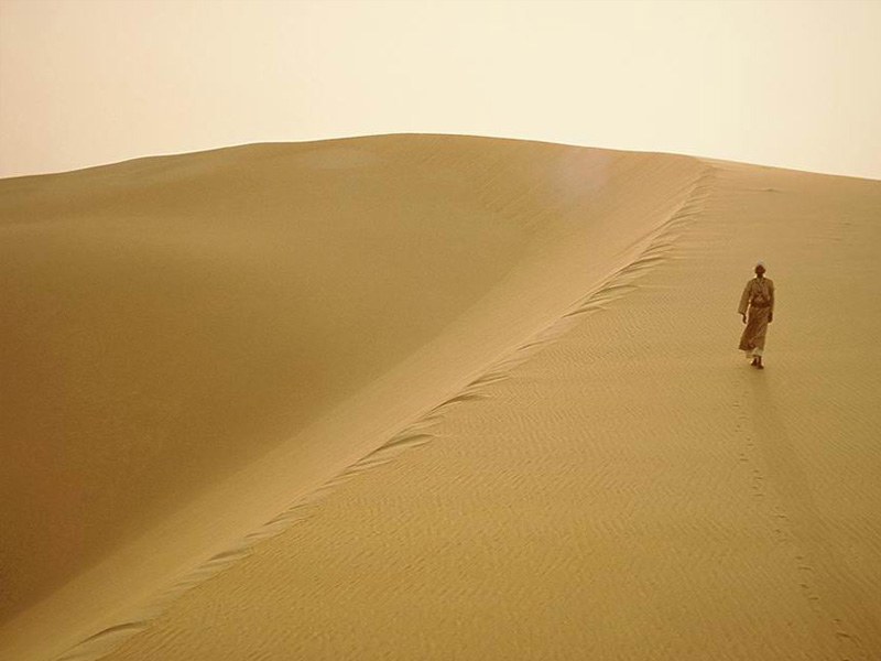 原諒容易，再信任卻難！